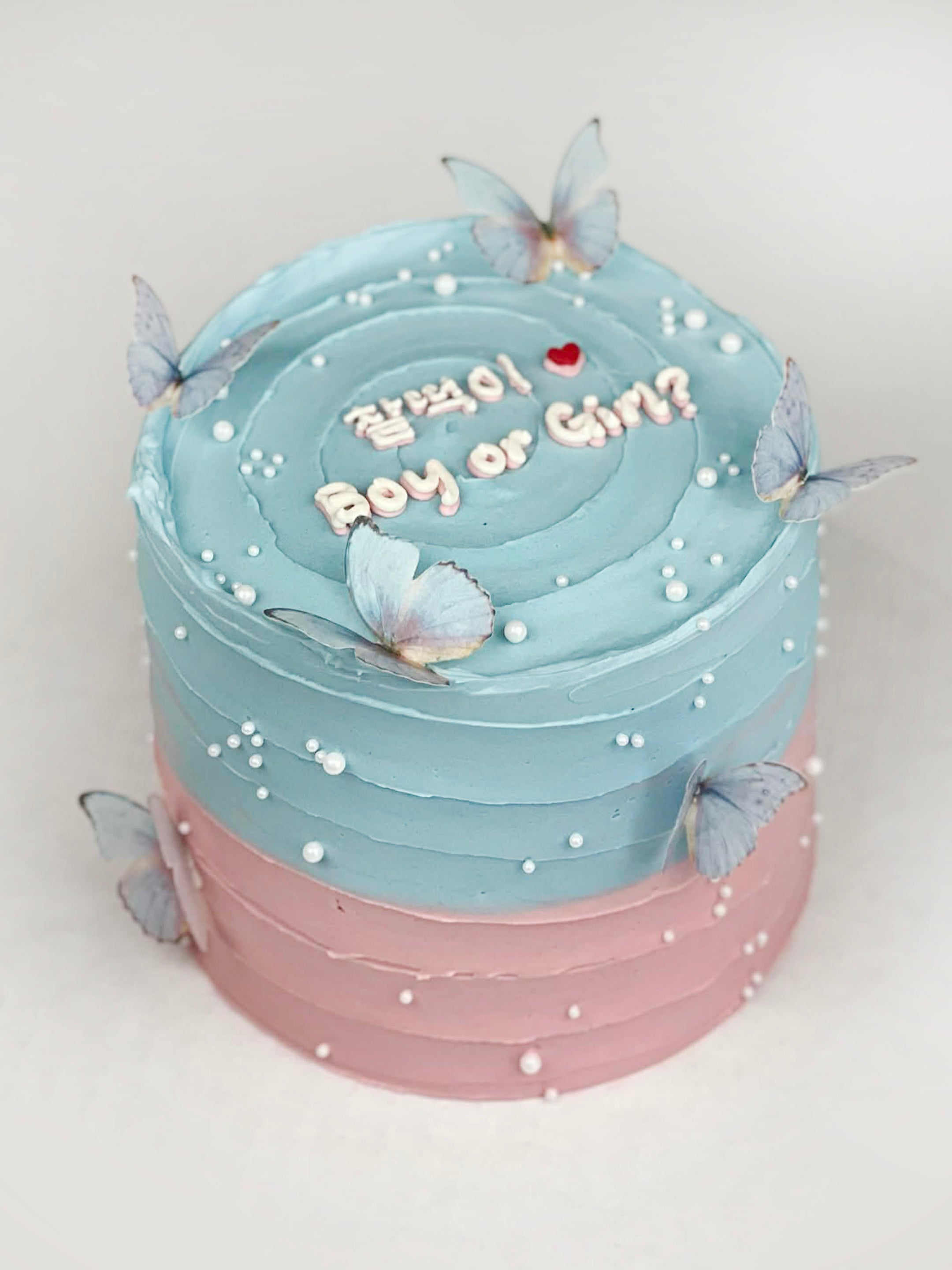 Two Tone Butterfly Cake